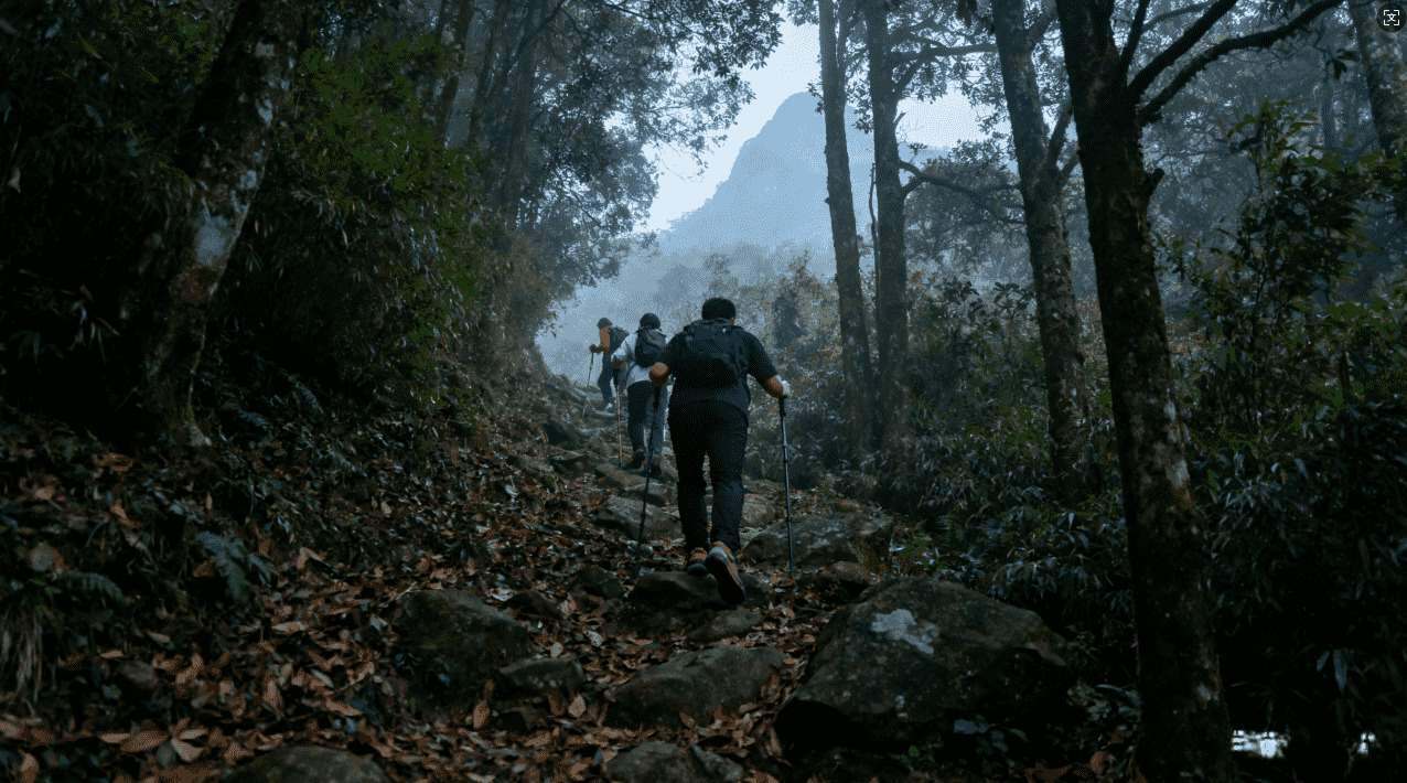 VPN加速器IP更换对网络速度的影响分析